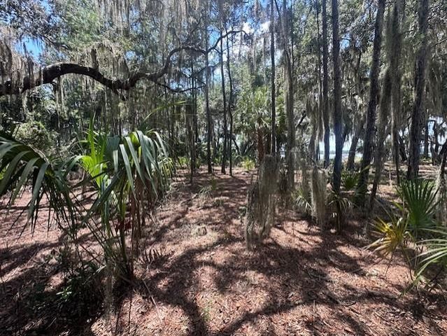 356 Drayton Island Rd, Georgetown, FL 32139