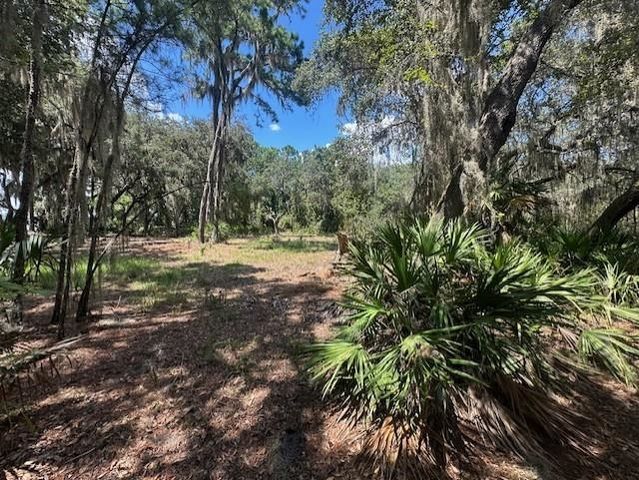 356 Drayton Island Rd, Georgetown, FL 32139