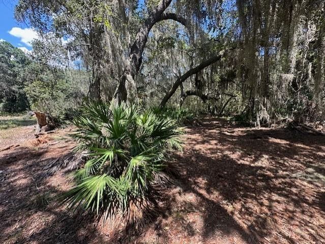 356 Drayton Island Rd, Georgetown, FL 32139