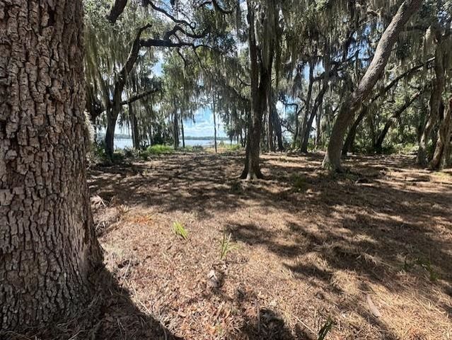 356 Drayton Island Rd, Georgetown, FL 32139