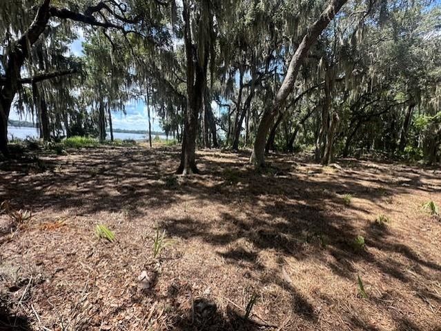 356 Drayton Island Rd, Georgetown, FL 32139