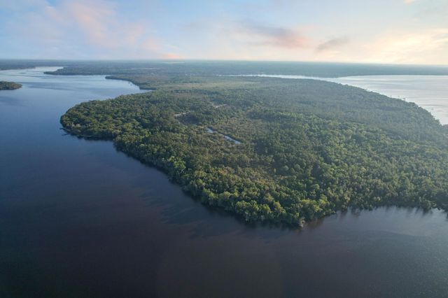 356 Drayton Island Rd, Georgetown, FL 32139