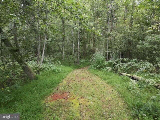 13185 MILL CREEK CT, Reva, VA 22735
