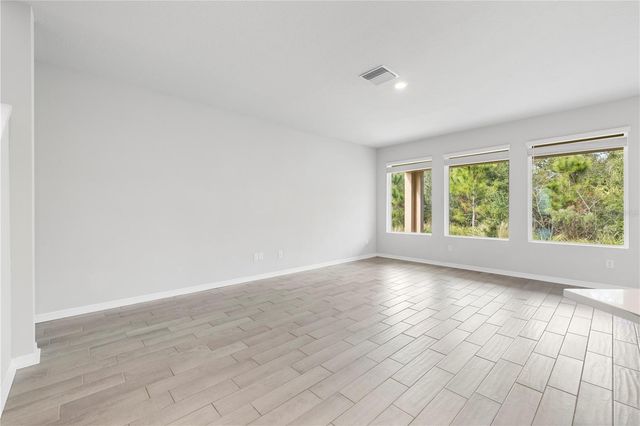 28575 COZY CREEK DRIVE, Wesley Chapel, FL 33543