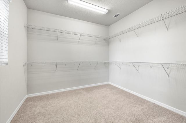 28575 COZY CREEK DRIVE, Wesley Chapel, FL 33543