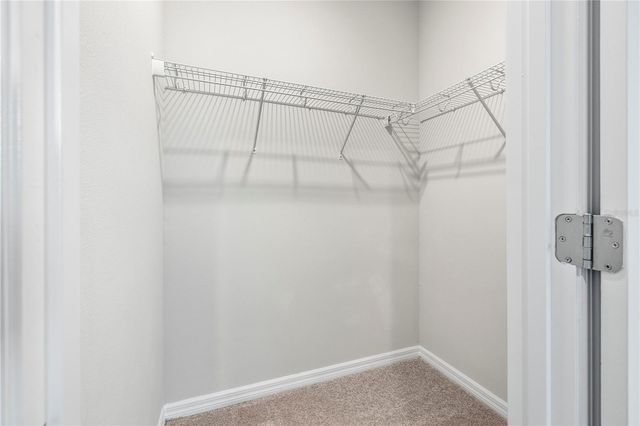 28575 COZY CREEK DRIVE, Wesley Chapel, FL 33543