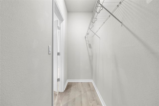 28575 COZY CREEK DRIVE, Wesley Chapel, FL 33543