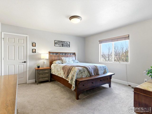 419 Hawthorne Ave, Johnstown, CO 80534