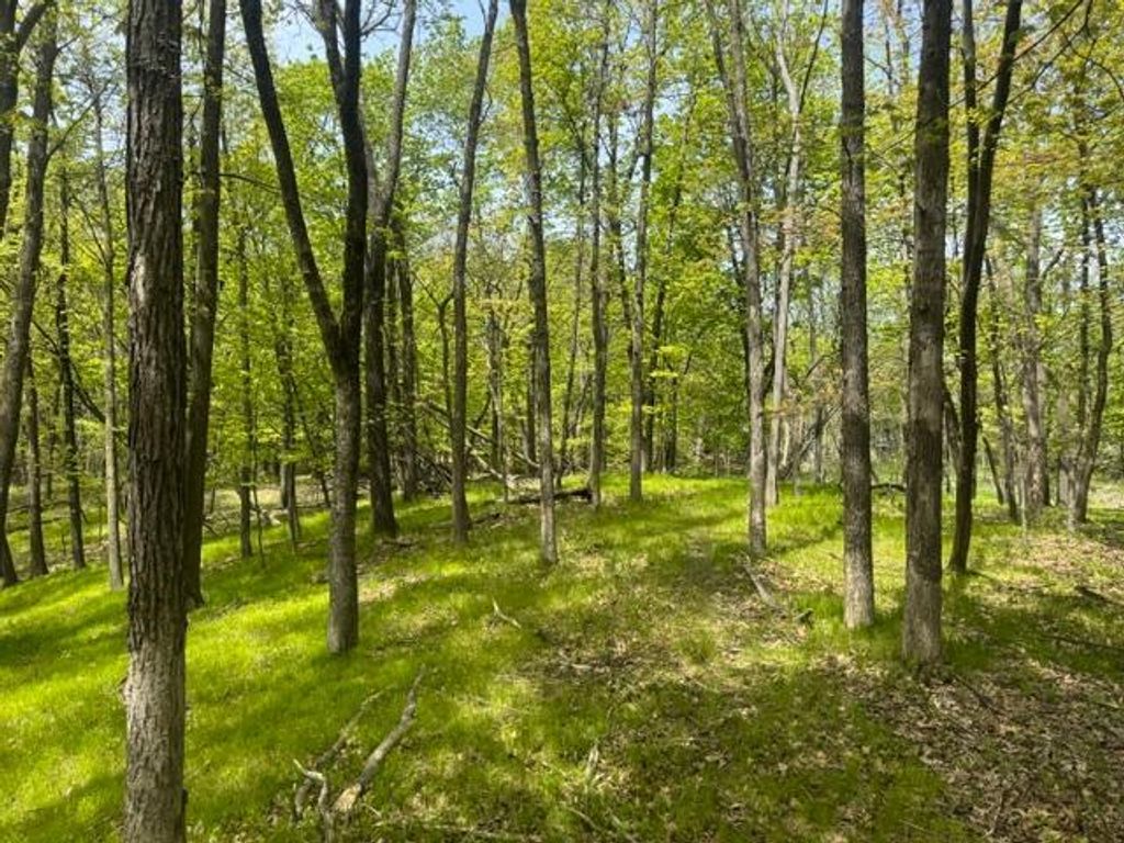 TBD Maple View Court, Excelsior, MN 55331 — photo 3