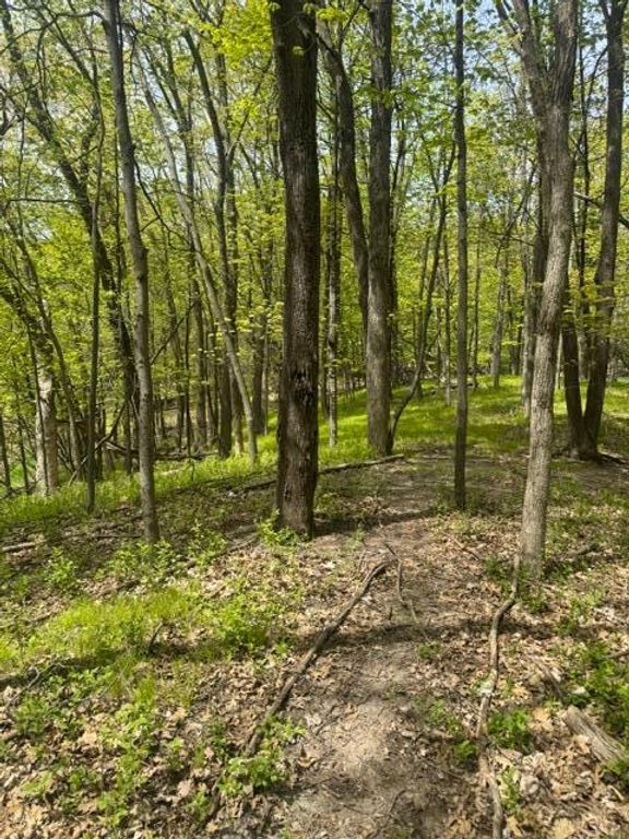 TBD Maple View Court, Excelsior, MN 55331 — photo 4