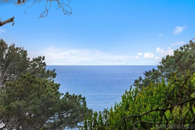 367 Pine Needles Dr, Del Mar, CA 92014