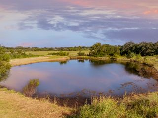 TBD Highway 281, Hico, TX 76457