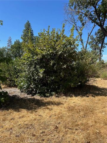 1345 Manhattan, Paradise, CA 95969