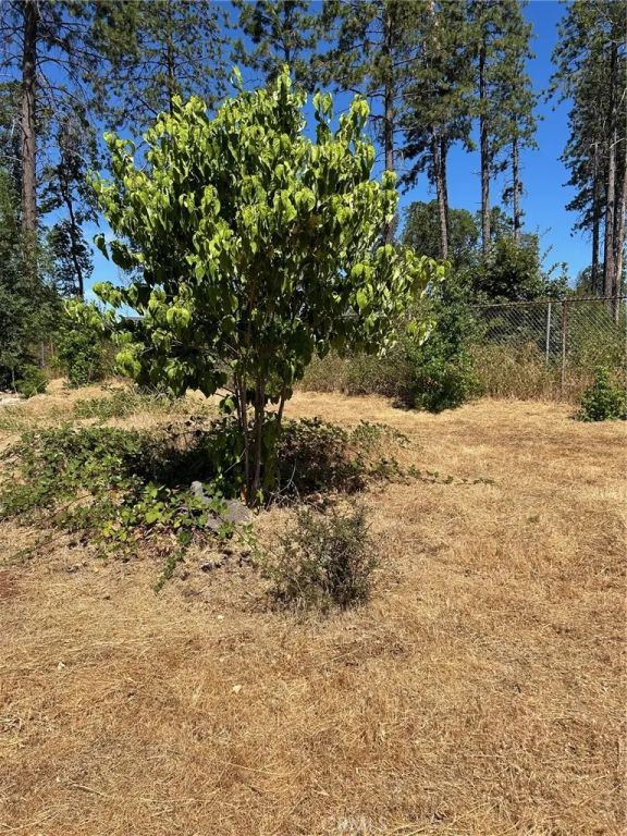 1345 Manhattan, Paradise, CA 95969