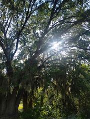 0 CEDARWOOD DRIVE N, Lake Wales, FL 33898