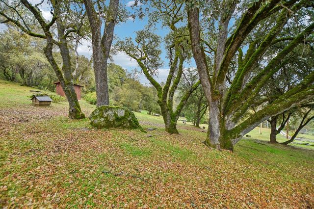 7650 Buzzards Gulch Rd, Somerset, CA 95684