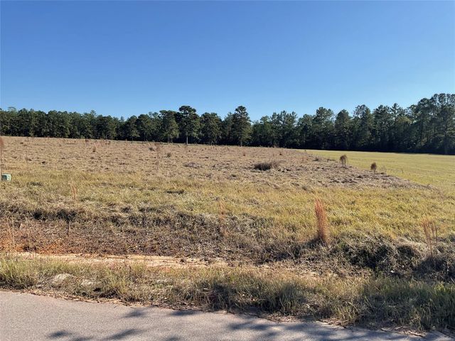 LOT 14 Lakeland Drive, Hillister, TX 77624