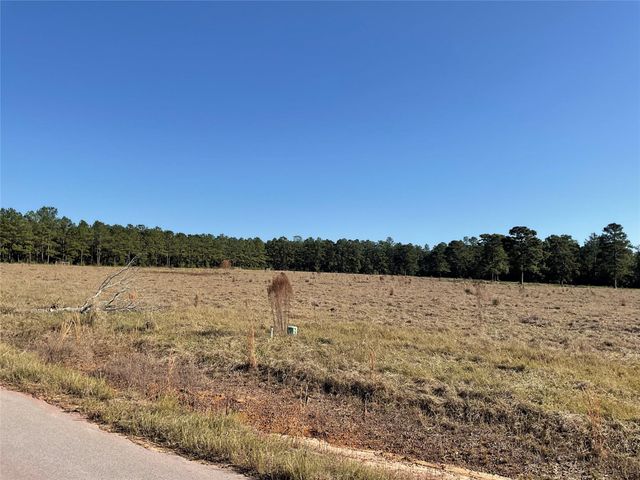 LOT 14 Lakeland Drive, Hillister, TX 77624