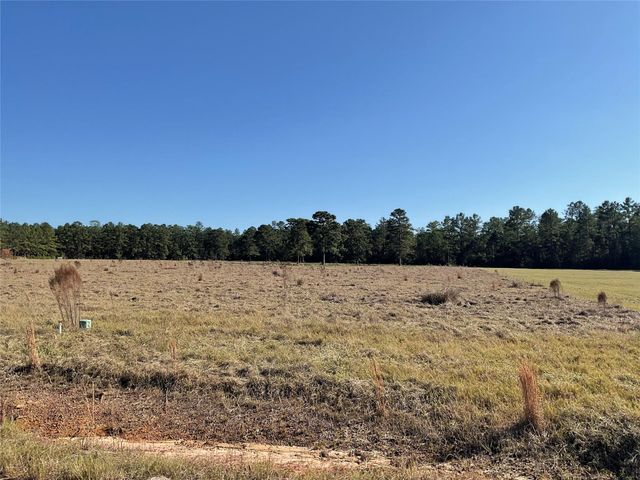LOT 14 Lakeland Drive, Hillister, TX 77624
