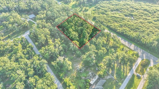 0 TREIMAN BOULEVARD, Webster, FL 33597