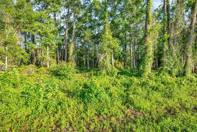 0 TREIMAN BOULEVARD, Webster, FL 33597