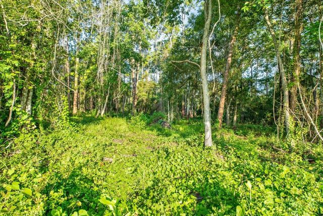0 TREIMAN BOULEVARD, Webster, FL 33597