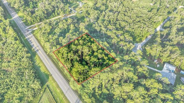 0 TREIMAN BOULEVARD, Webster, FL 33597