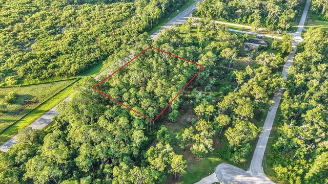 0 TREIMAN BOULEVARD, Webster, FL 33597