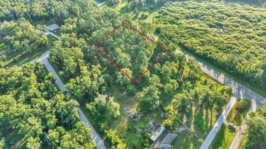 0 TREIMAN BOULEVARD, Webster, FL 33597