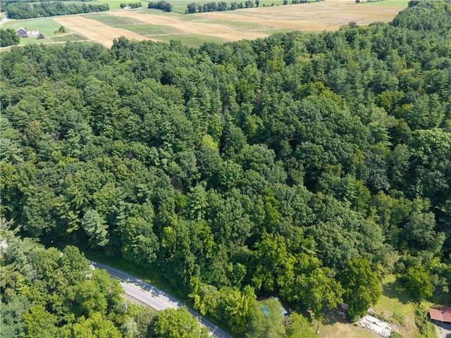 10402 County Route 46, Dansville, NY 14437