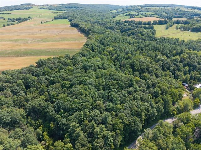 10402 County Route 46, Dansville, NY 14437