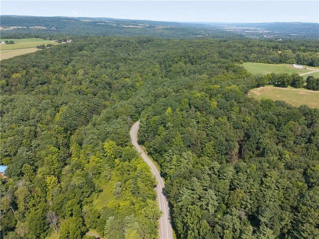 10402 County Route 46, Dansville, NY 14437