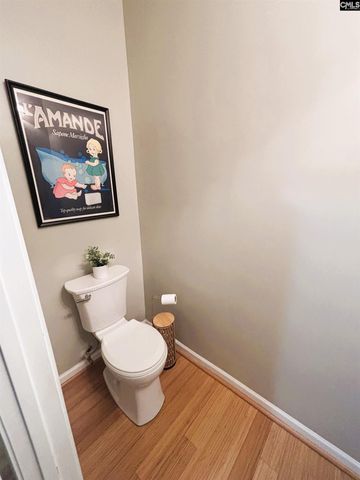 249 Allenbrooke Way, Lexington, SC 29072