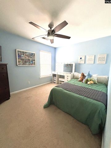 249 Allenbrooke Way, Lexington, SC 29072