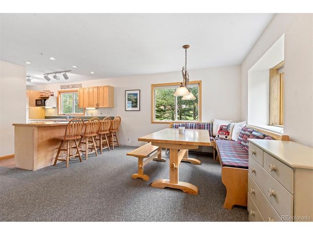 46 Mcdill Rd, Breckenridge, CO 80424