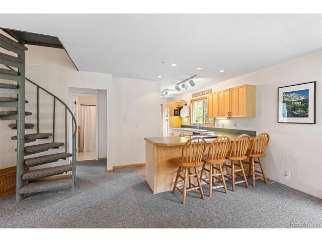 46 Mcdill Rd, Breckenridge, CO 80424