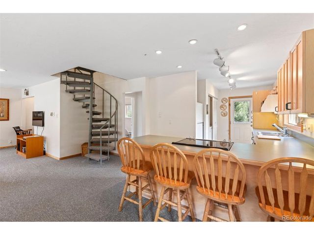 46 Mcdill Rd, Breckenridge, CO 80424