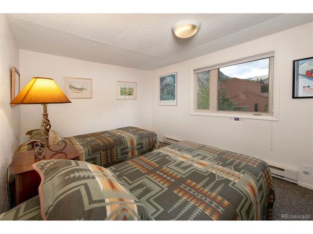 46 Mcdill Rd, Breckenridge, CO 80424