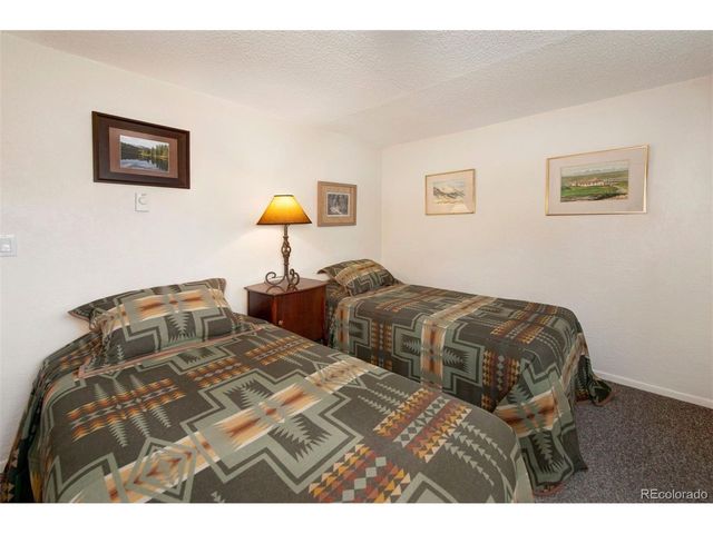 46 Mcdill Rd, Breckenridge, CO 80424