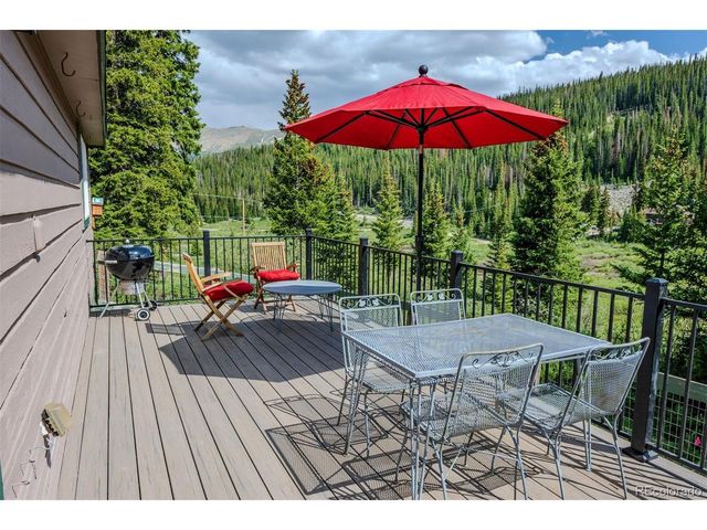 46 Mcdill Rd, Breckenridge, CO 80424
