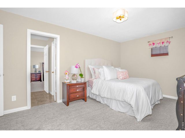 1973 Seadrift Dr, Windsor, CO 80550
