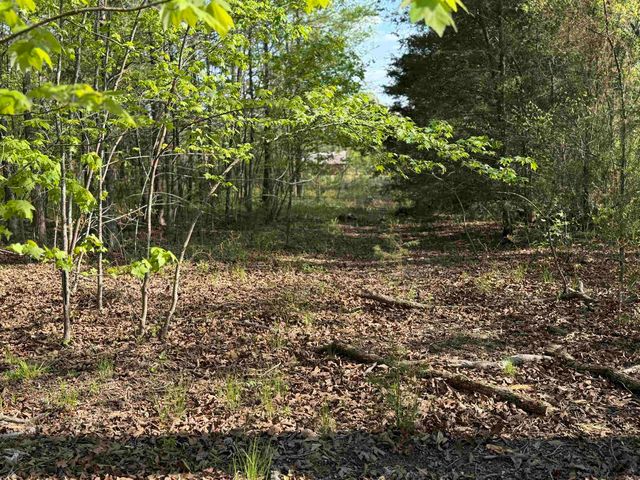 1989 Hwy 65, Clinton, AR 72031