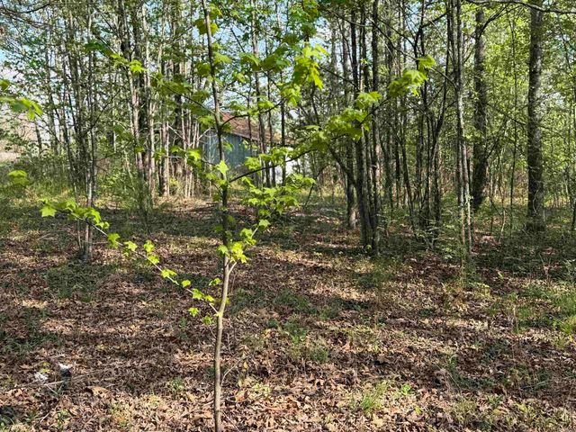 1989 Hwy 65, Clinton, AR 72031