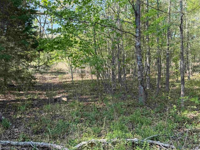 1989 Hwy 65, Clinton, AR 72031
