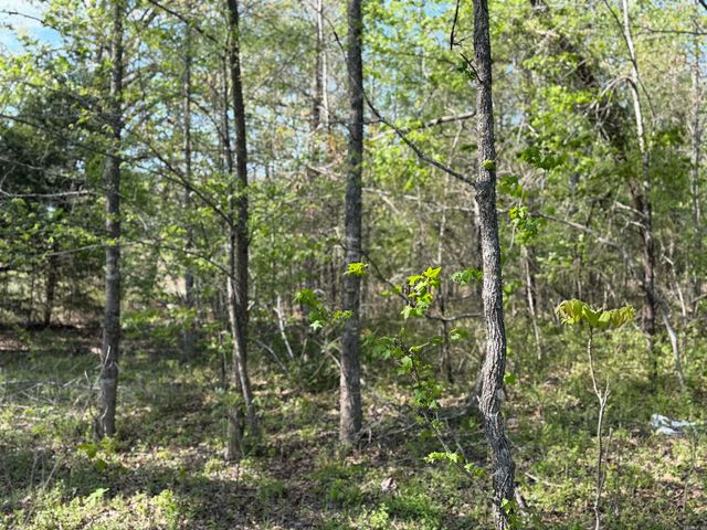 1989 Hwy 65, Clinton, AR 72031