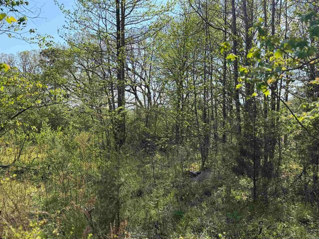 1989 Hwy 65, Clinton, AR 72031