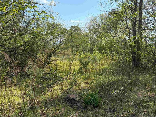 1989 Hwy 65, Clinton, AR 72031
