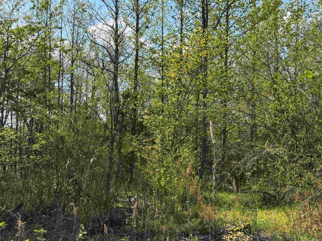 1989 Hwy 65, Clinton, AR 72031