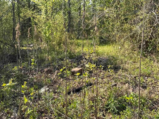1989 Hwy 65, Clinton, AR 72031