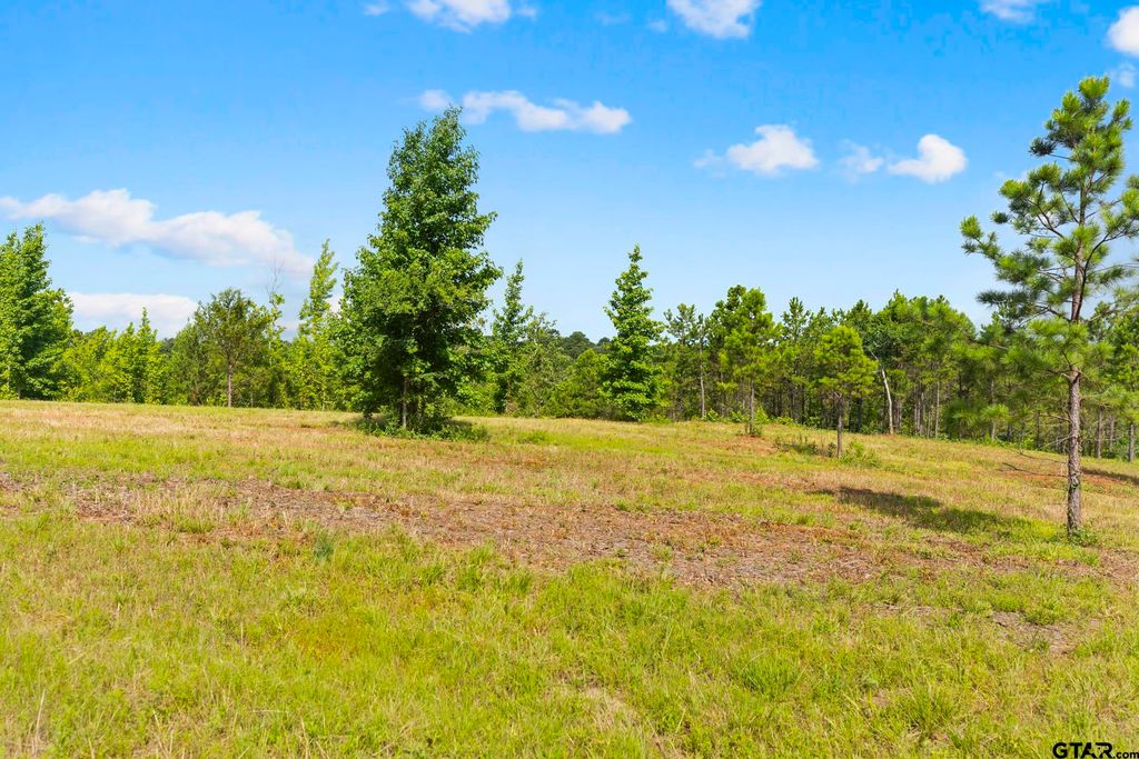TBD County Road 4112 Lot 5, Lindale, TX 75771